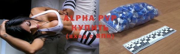 крисы Алзамай