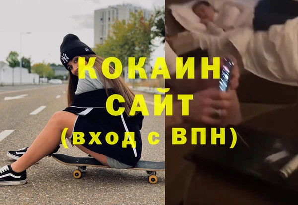 крисы Алзамай